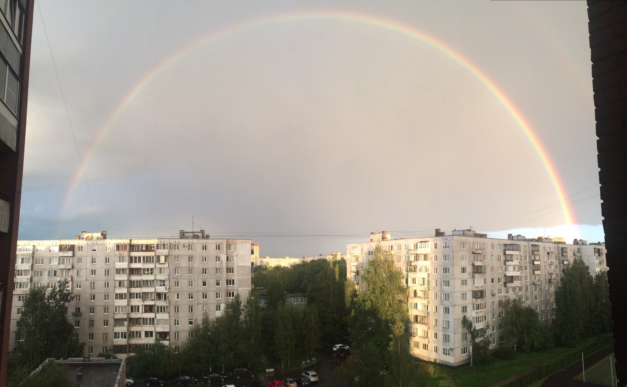 Дарья Романова